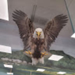 Meet your Posher, Marshall